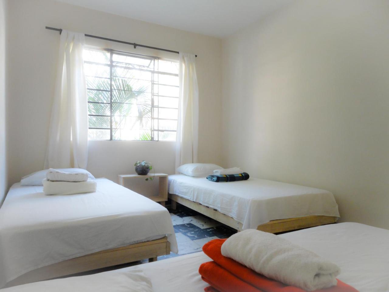 Selvatica Alojamiento Eco (Adults Only) Μεντεγίν Εξωτερικό φωτογραφία