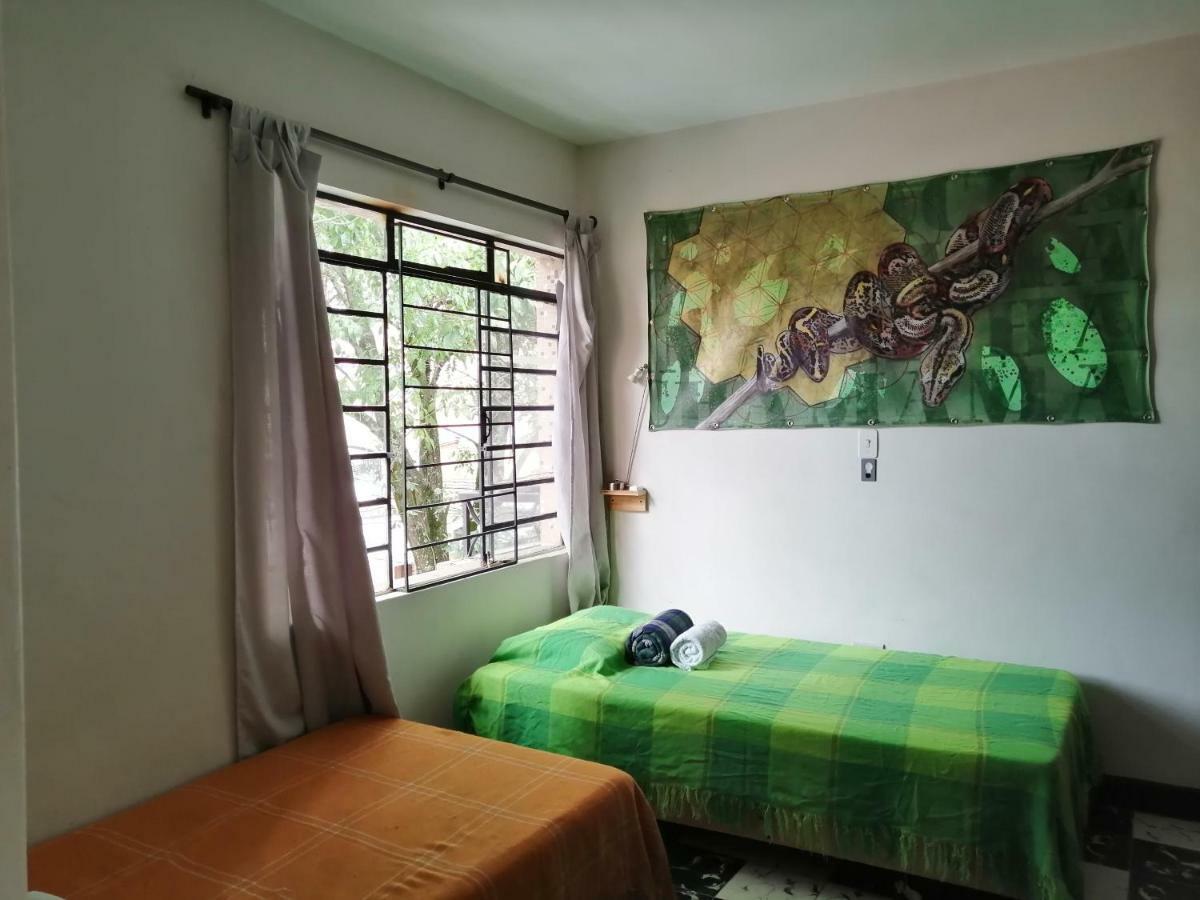 Selvatica Alojamiento Eco (Adults Only) Μεντεγίν Εξωτερικό φωτογραφία