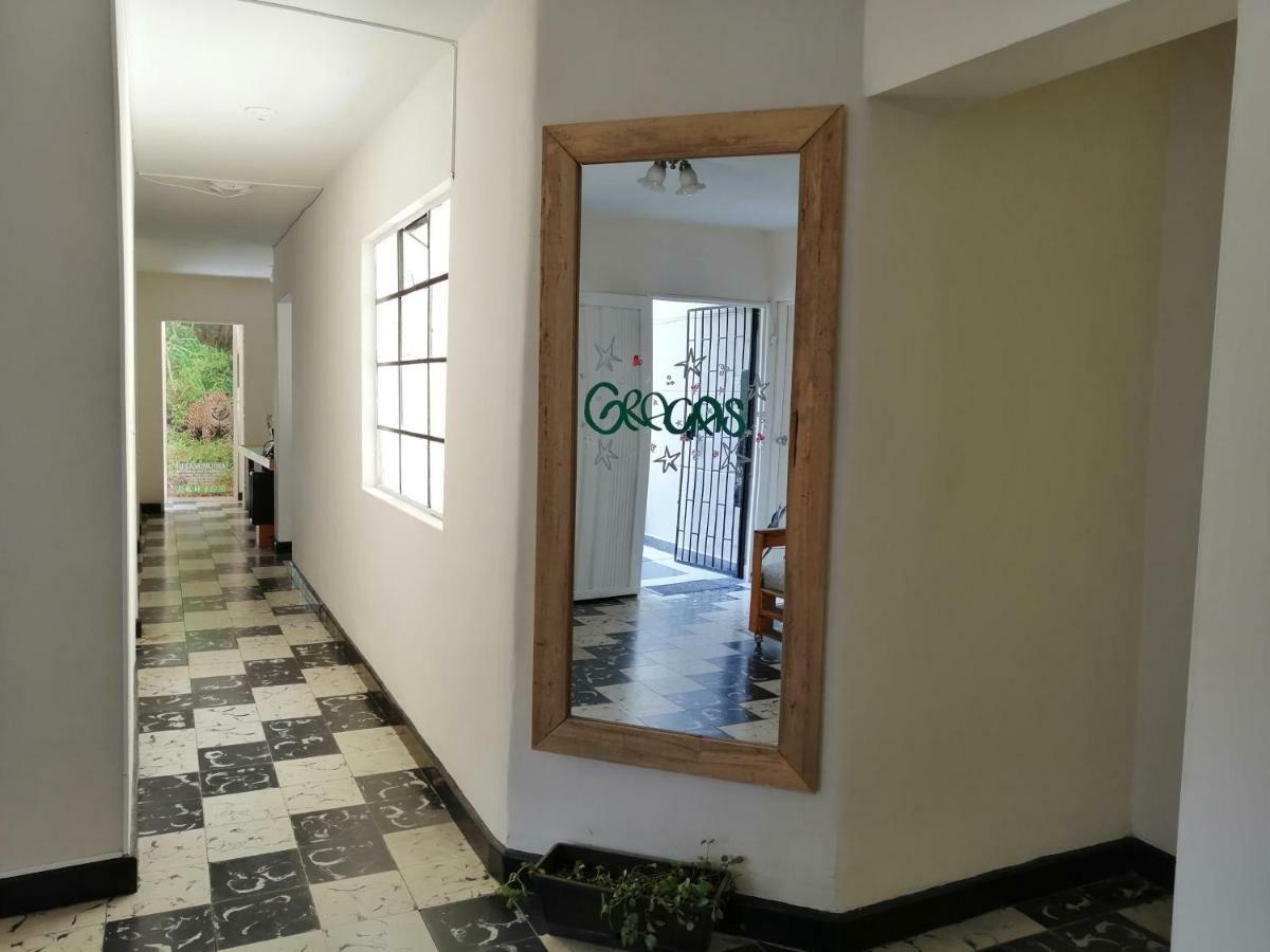 Selvatica Alojamiento Eco (Adults Only) Μεντεγίν Εξωτερικό φωτογραφία